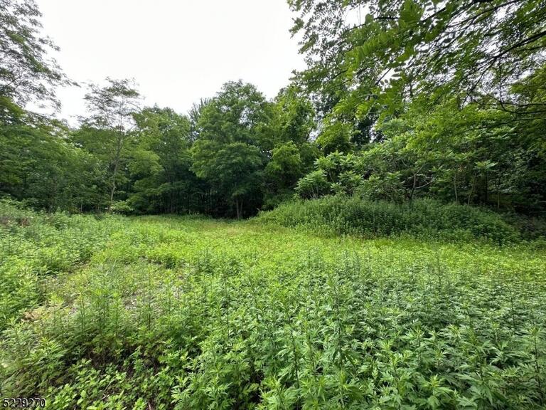 Property listing MLS 4049352 photo 3