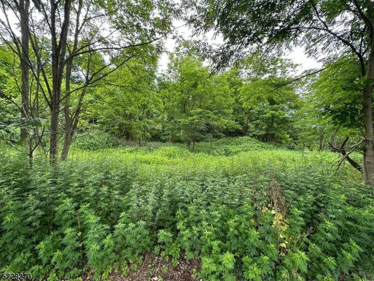 Property listing MLS 4049352 photo 4