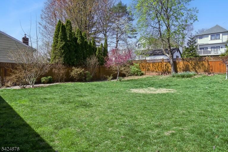 image-4021236-17.jpeg