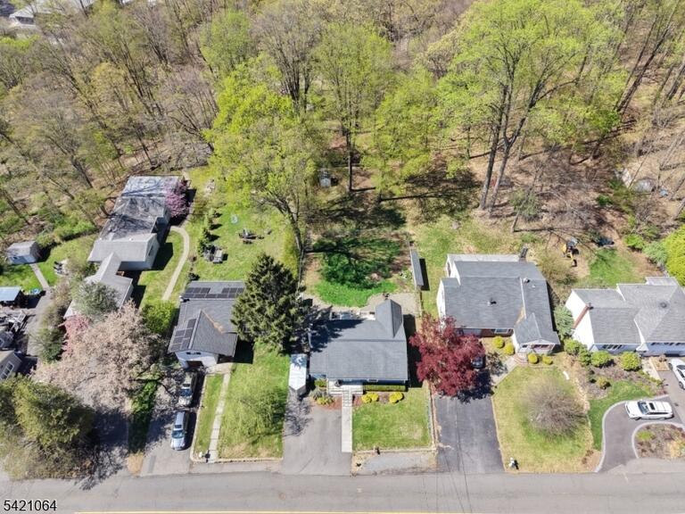 image-4022719-29.jpeg