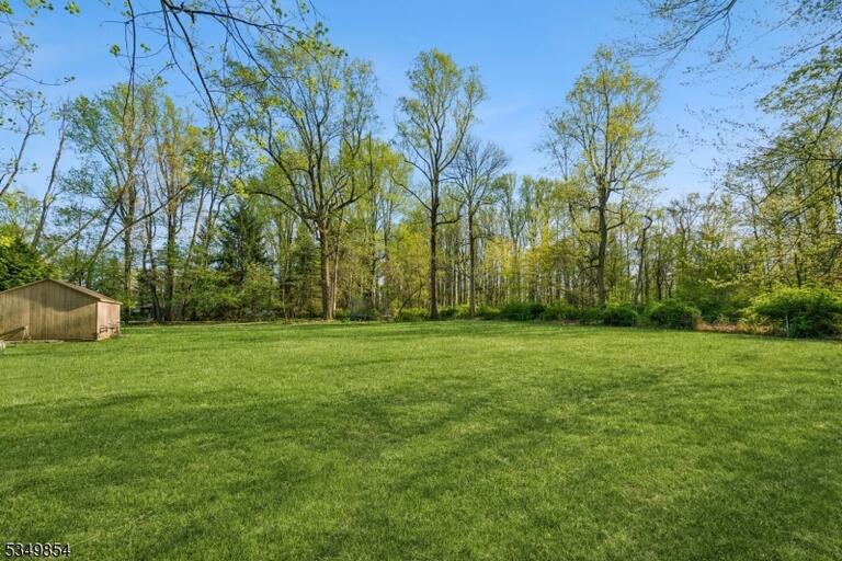 image-4022724-33.jpeg