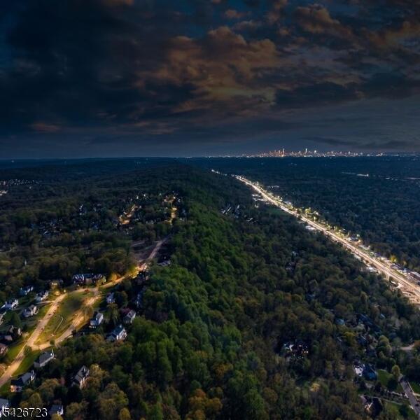 image-4022894-5.jpeg