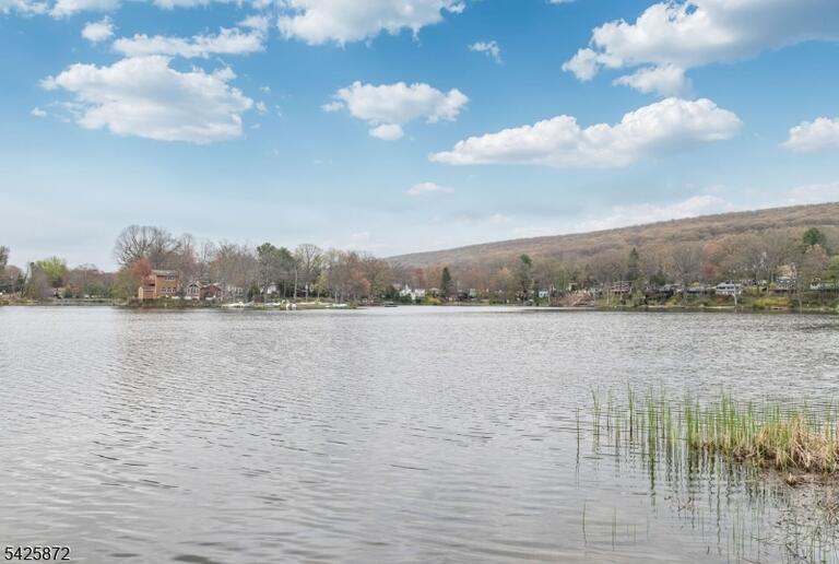 image-4023204-42.jpeg