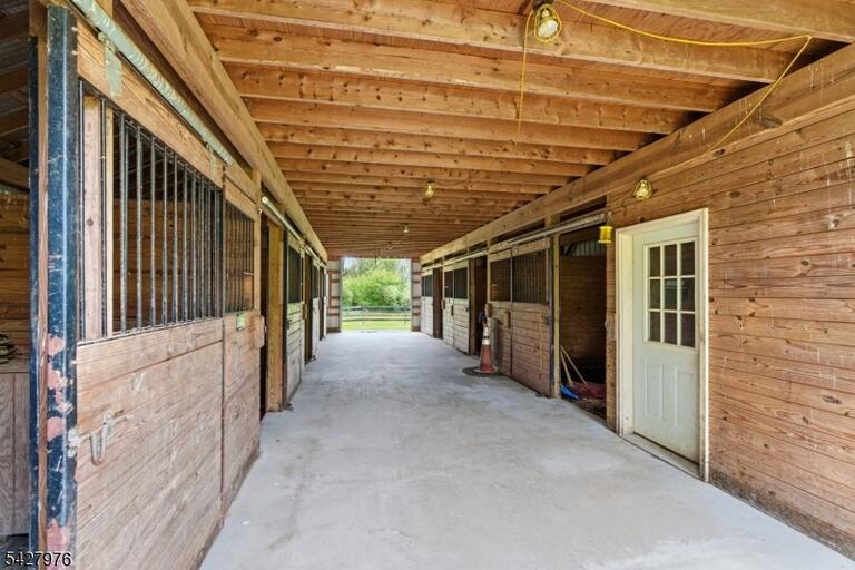 image-4023897-45.jpeg
