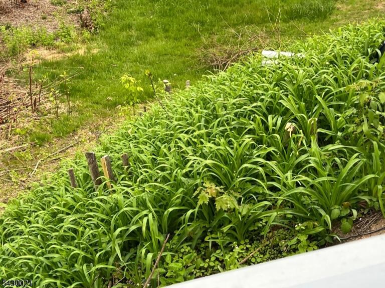 image-4025748-18.jpeg