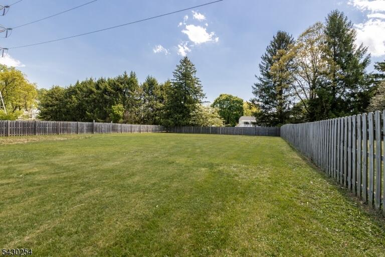 image-4026146-2.jpeg