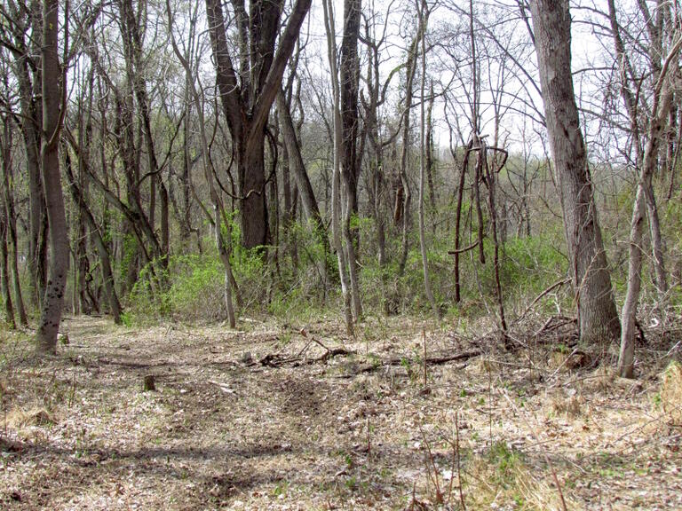 Property listing MLS 4032673 photo 15