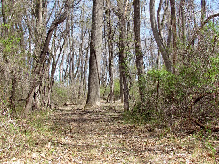 Property listing MLS 4032673 photo 16