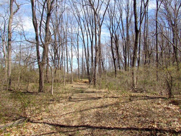 Property listing MLS 4032673 photo 19