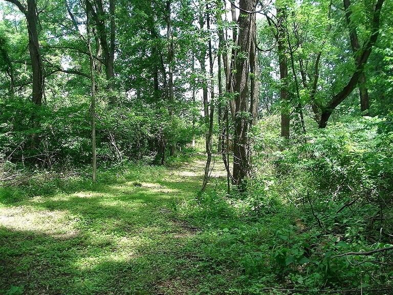 Property listing MLS 4032673 photo 2