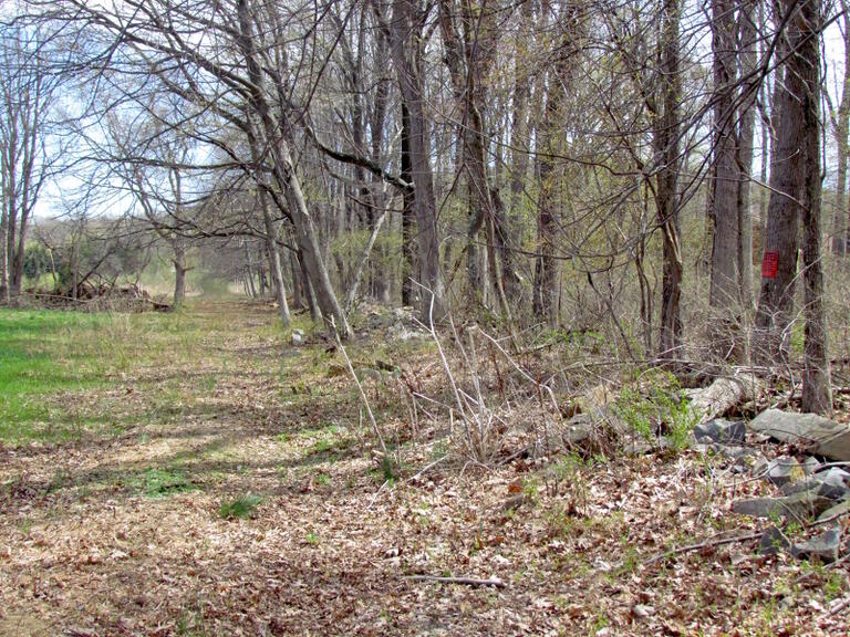 Property listing MLS 4032673 photo 9