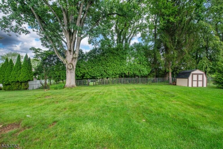 image-4047757-38.jpeg